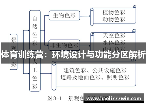 体育训练营：环境设计与功能分区解析