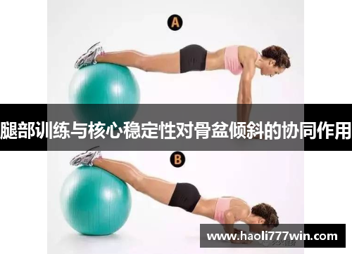 腿部训练与核心稳定性对骨盆倾斜的协同作用
